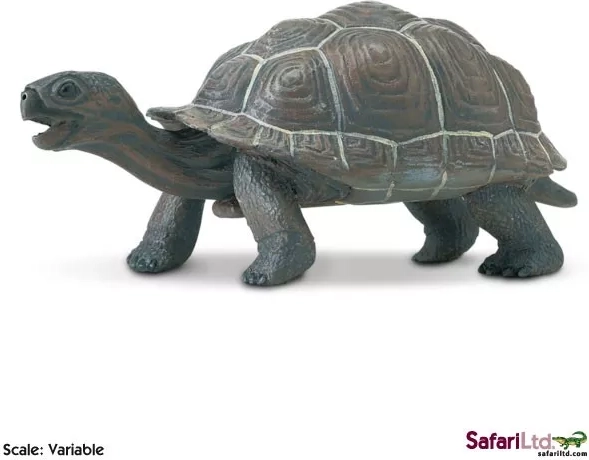 Safari Ltd. mladunče galapagoške kornjače figurica - 1 komad