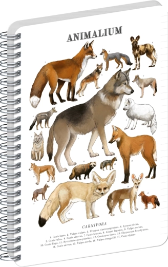 Notique spiralna bilježnica Animalium – psovite zvijeri, crtovano, A4