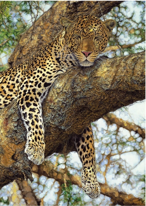 Puzzle Leopard 1000 komada