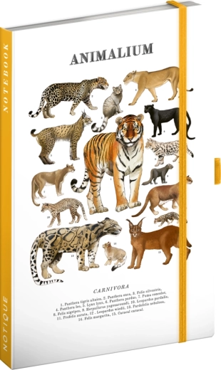 Notique Notes Animalium – mačkolike zvijeri (linijski rokovnik) 13 × 21 cm