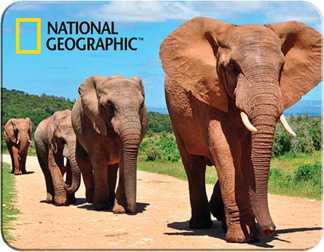 Magnet 3D Afrički slonovi