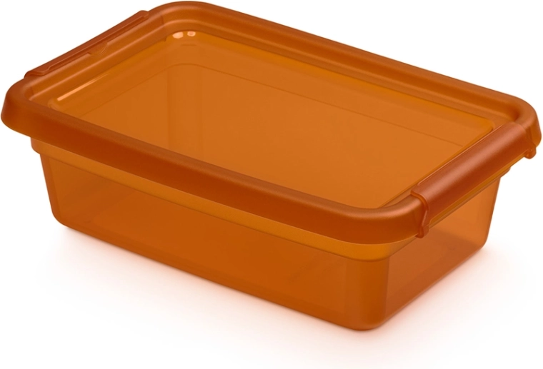 Basestore spremna kutija s poklopcem i kopčama amber 3 l (19 × 28 × 9 cm)