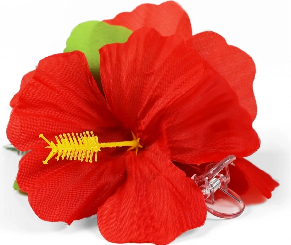 Cvjetna ukosnica Hibiscus