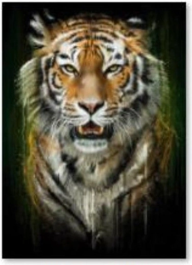Diamond painting (diamond painting) tiger - 30 × 40 cm