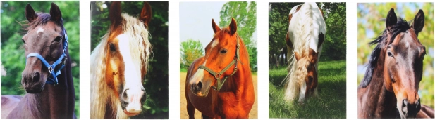 Blok s motivom Konja MINI 40l, 6x8,5 cm