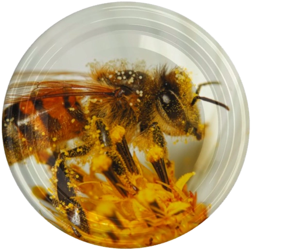 Poklop fi82 s motivom velike pčele na cvijetu