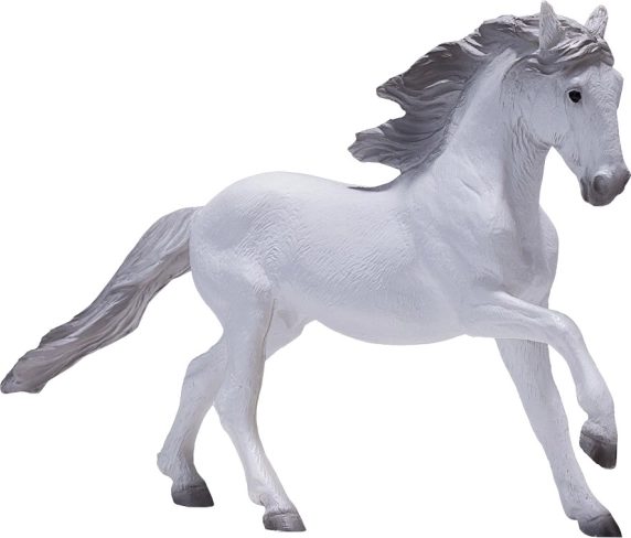 Mojo Lusitanski bijeli konj