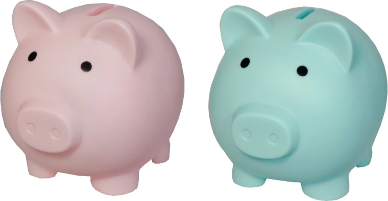 Kasica u obliku praseta