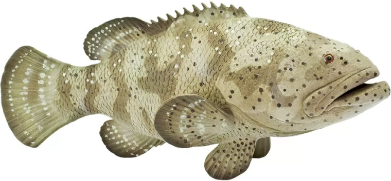 Safari Ltd. goliath grouper figurine - 1 piece