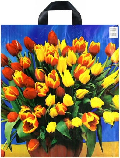 Tiskana plastična vrećica za kupovinu s trakastom ručkom 43 × 48 cm - 1 komad