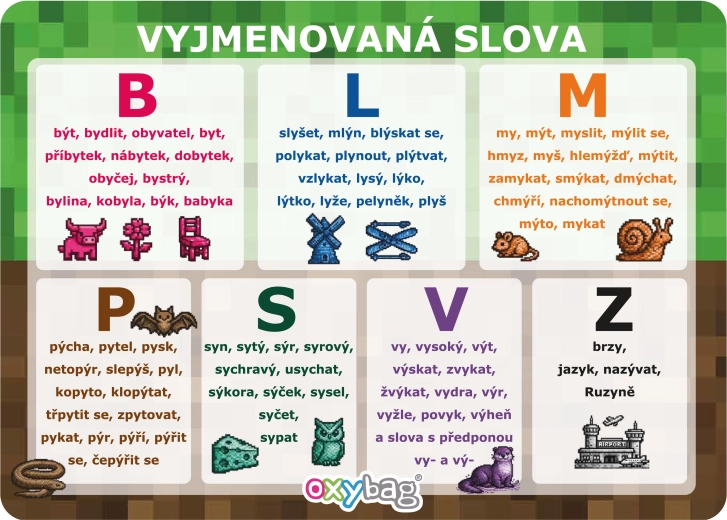 Playworld A4 educational cards set