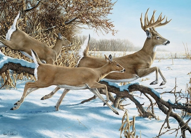 COBBLE HILL puzzle Bijeg – 1000 dijelova