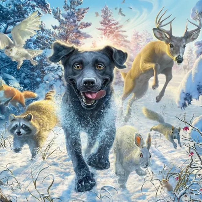 Puzzle Labrador u snijegu 1000 dijelova