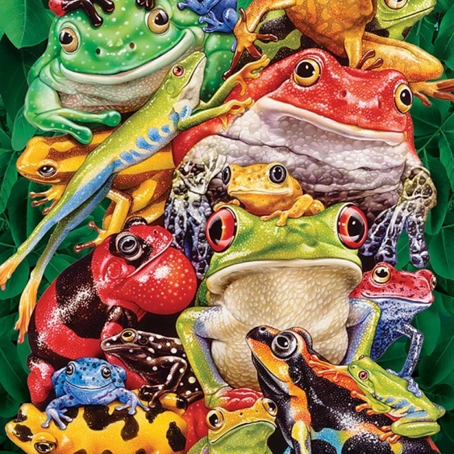 Puzzle Žabji Biznis 1000 Komada