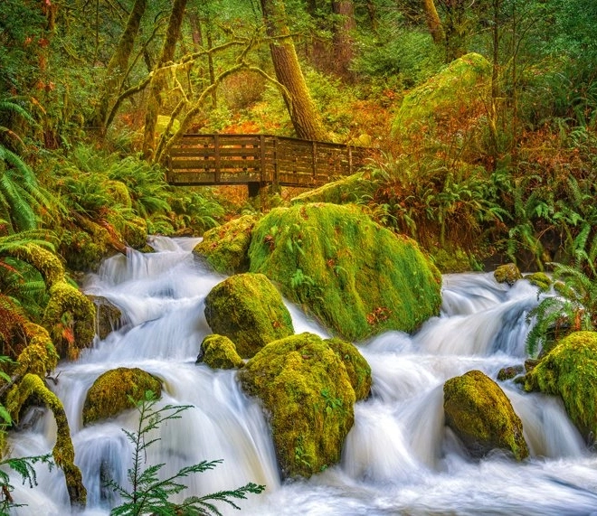 Puzzle Šumski vodopad 1000 dijelova