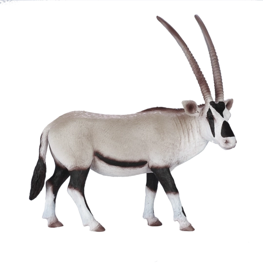 Mojo arapski oriks
