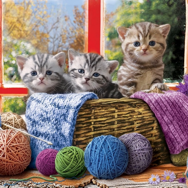 Puzzle Pletenje Mačići XL 500 dijelova