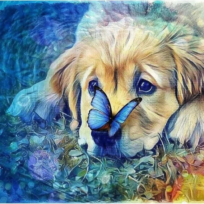 Dijamantno slikanje – pas s leptirićem 30 × 40 cm