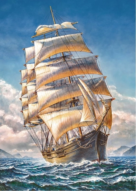 Puzzle CHERRY PAZZI Jedrilica WR Grace 1000 dijelova
