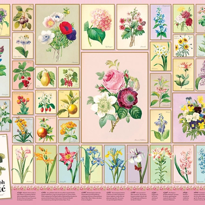 Puzzle Pierre-Joseph Redouté 1000 dijelova od Cobble Hill
