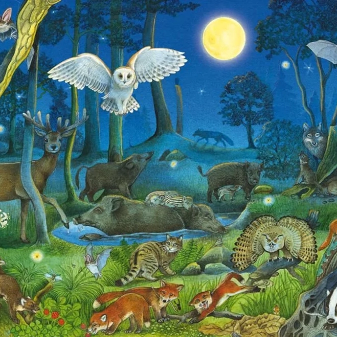 Puzzle Šumske životinje noću 100 dijelova