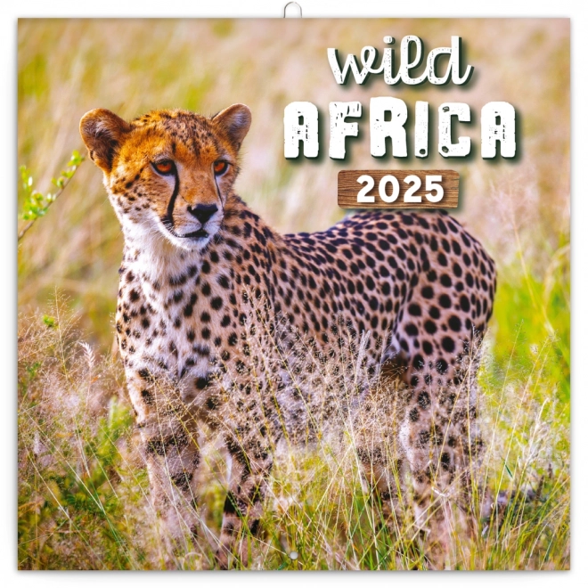 Notesni kalendar Divlja Afrika 2025, 30 × 30 cm