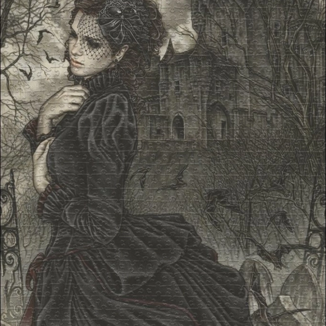 Heye Puzzle Favole: Tiha trenutak 1000 dijelova