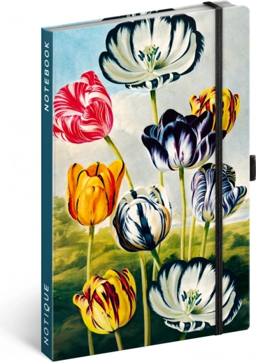 Bilježnica Tulipani Kateřiny Winterové, crtana, 13 x 21 cm