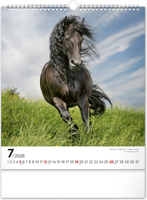 Zidni kalendar Konji 2026