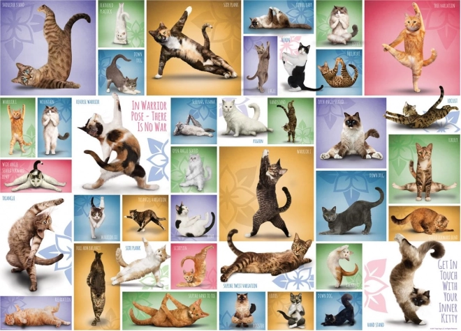 Puzzle Mačja joga 1000 komada