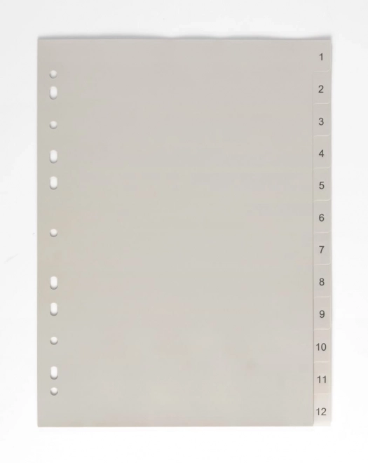 Razdjelnik A4 1-12 PP