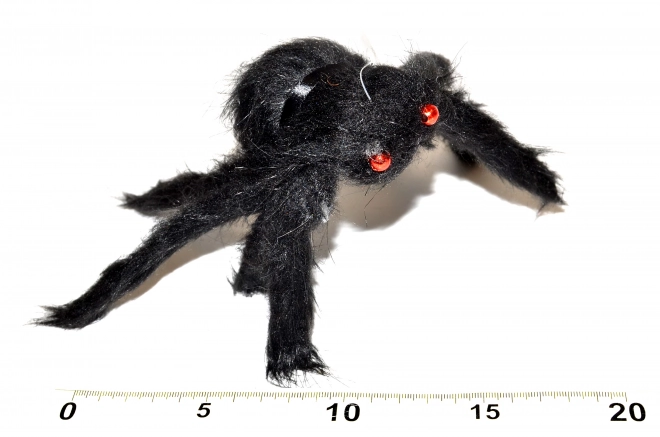 Crni pauk 30 cm
