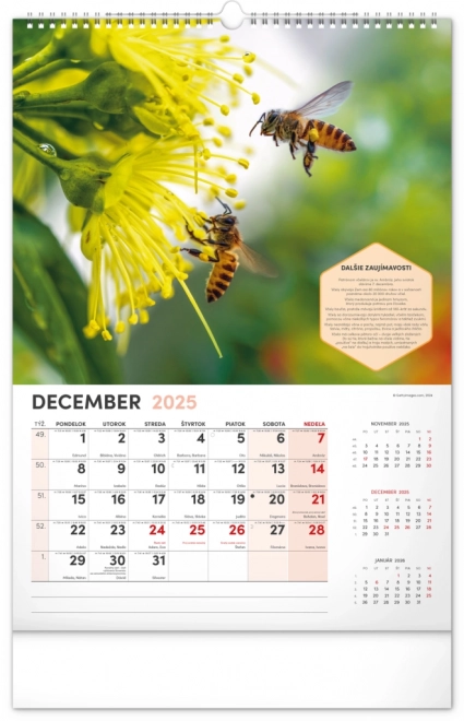NOTIQUE Zidni Pčelarski kalendar 2025, 33 x 46 cm