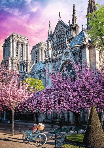 Impresivan motiv Notre-Dame u Parizu
