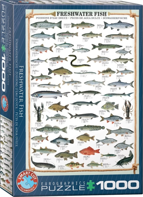 EUROGRAPHICS Puzzle Slatkovodne ribe 1000 dijelova