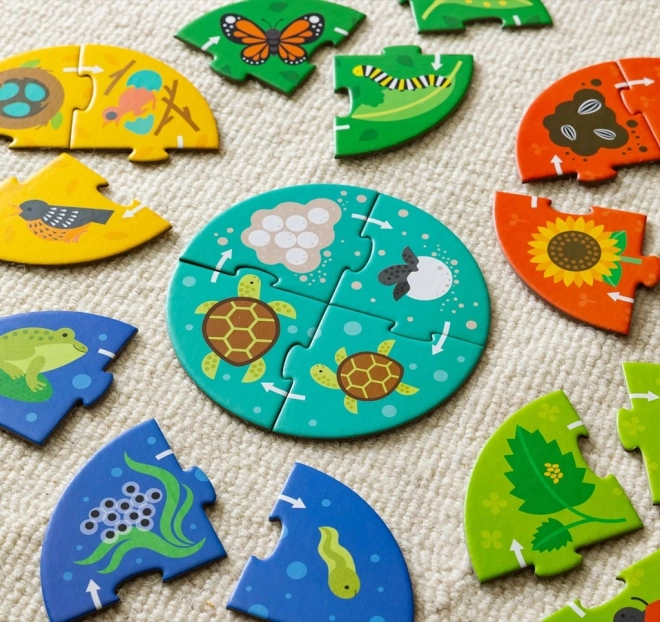 Petit Collage Puzzle Istraživača Životnog Ciklusa
