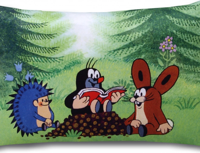 Jastuk Krtek čitatelji 45x30