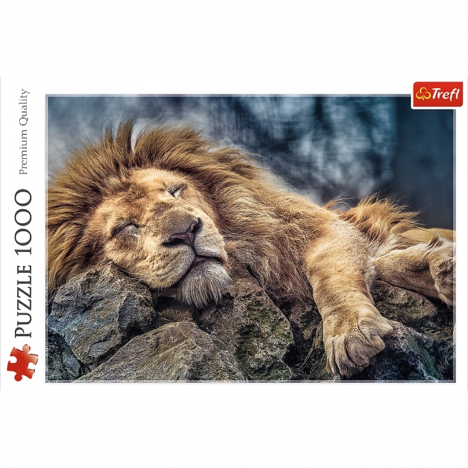 Puzzle Spavajući Lav 1000 komada u kutiji 40x27x6cm