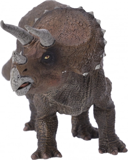 Savršeno za sve dobne skupine