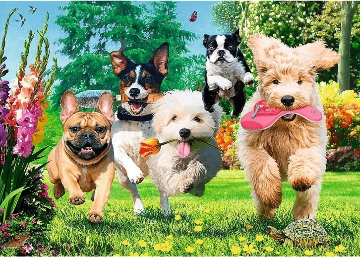 Veseli motiv pun boja