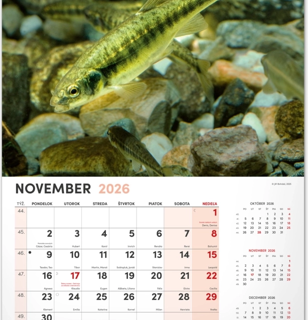 Zidni kalendar Ribolovački 2026