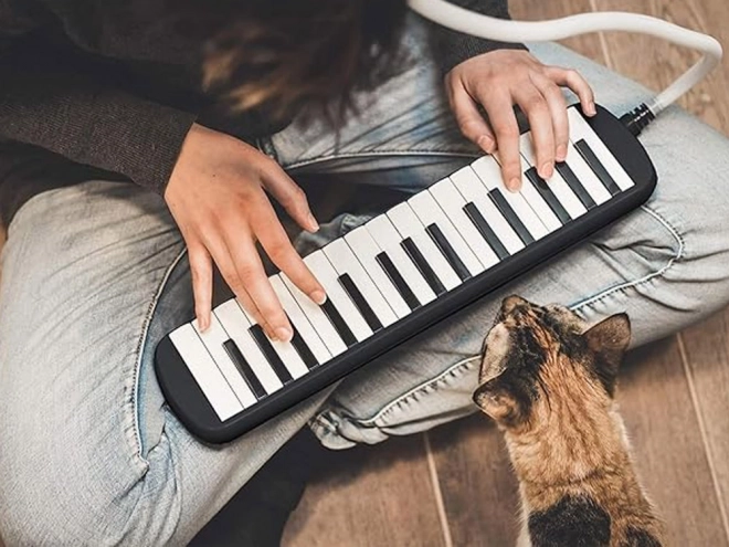 Melodika s tipkama i futrolom