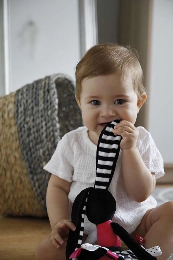 Različite teksture i šumeći elementi