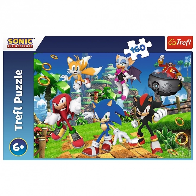 Puzzle Sonic i prijatelji 160 dijelova