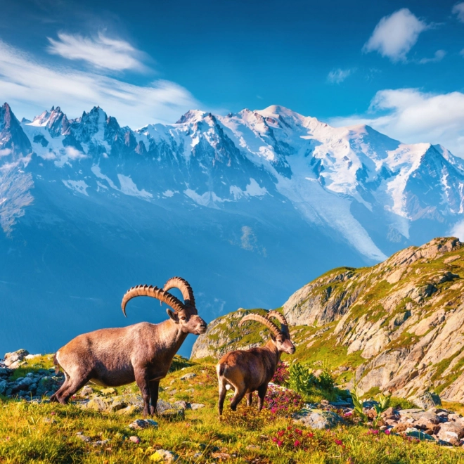 Kalendar za bilješke Alpe 2026
