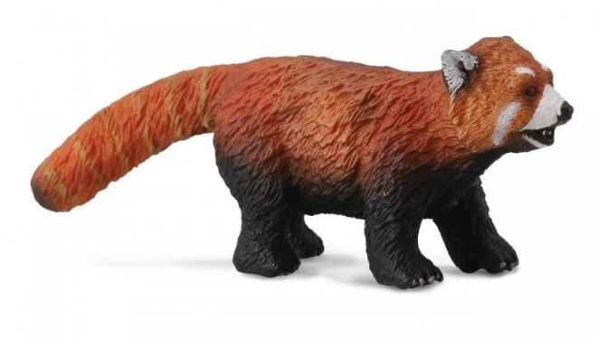 Crvena panda