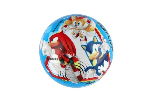 Loptica ježić SONIC 14 cm