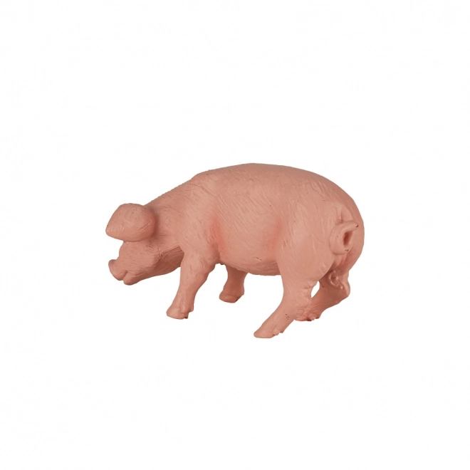 Vjerni detalji i boje