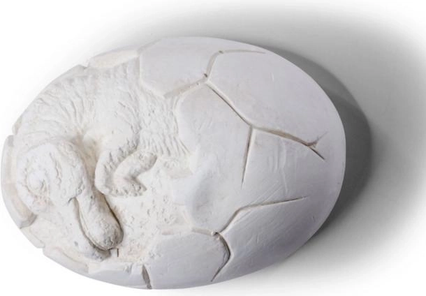 Set za iskopavanje dinosaurovih jaja