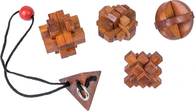 Profesor Puzzle Veliki Umovi: Slavnih Žena 5u1